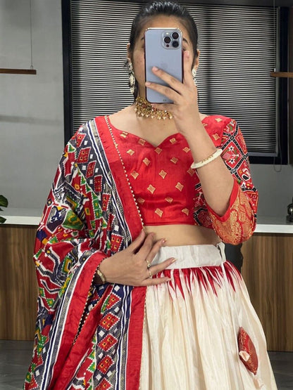 Simple Red and White Silk Lehenga Choli with Paithani Dupatta - Blouse 